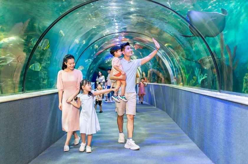Khu Vui Chơi Trong Trung Tâm Thương Mại: Nơi Lý Tưởng Để Trẻ Em Vui Chơi và Phát Triển